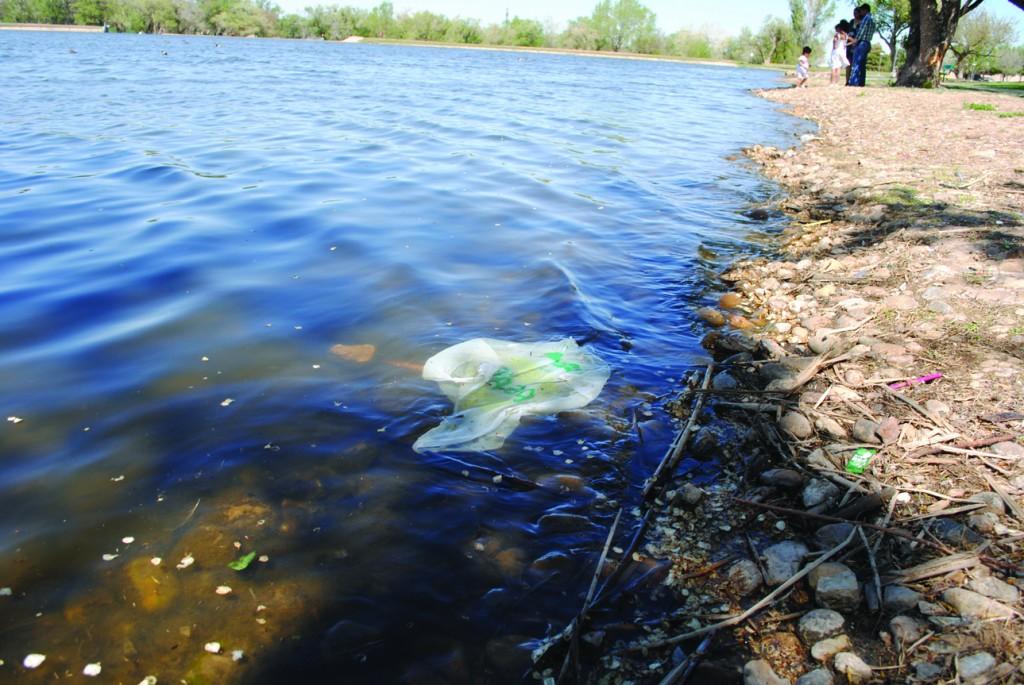 Thompson park littered with trash from lake. Photo by Lisa Hellier.