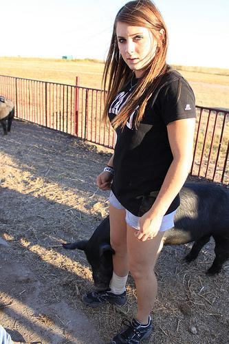 5074136312_96249a41f7 A pig finds a chew toy in freshman Addie Davis' shoe. Photo by Matt Lara.