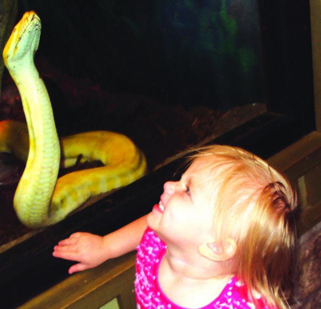 Kristen Blackstock's daughter, Teegan, at the zoo’s herpetarium in May. Photo by Kristen Blackstock.