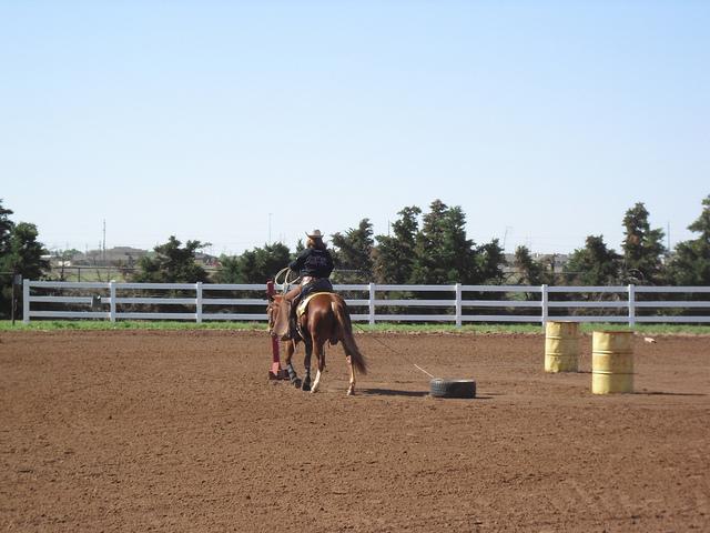 5182359441_cc0d141b91_z Rebecca Noggles riding her horse at a show. Courtesy Photo.